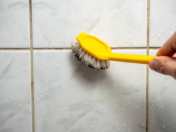 Best Commercial Mold Remediation in Port Jefferson, NY