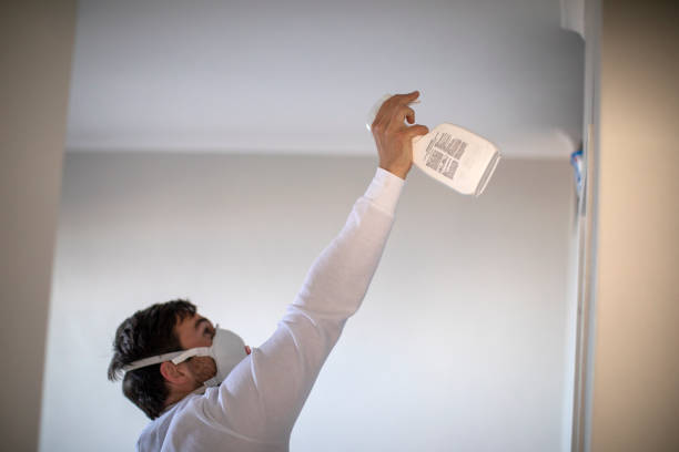 Best White Mold Remediation in Port Jefferson, NY