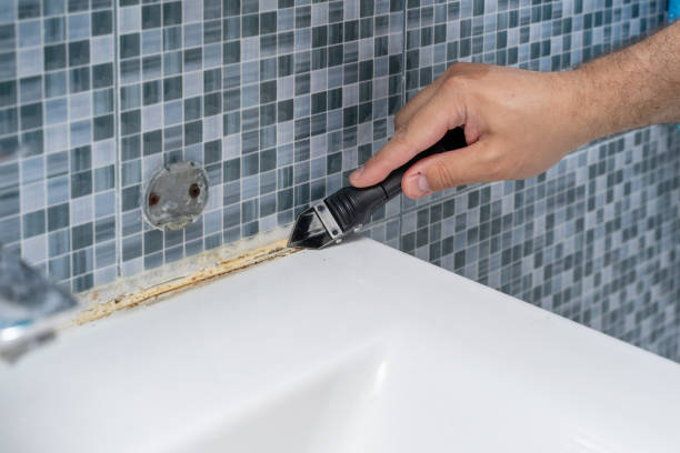 Best Bathroom Mold Remediation in Port Jefferson, NY